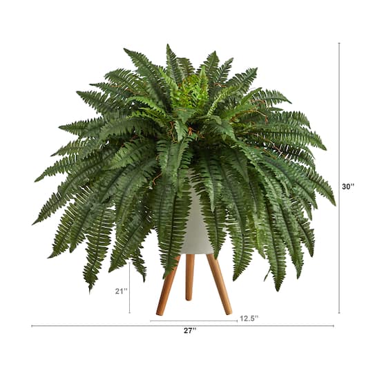 2.5ft. Boston Fern in Planter with Legs